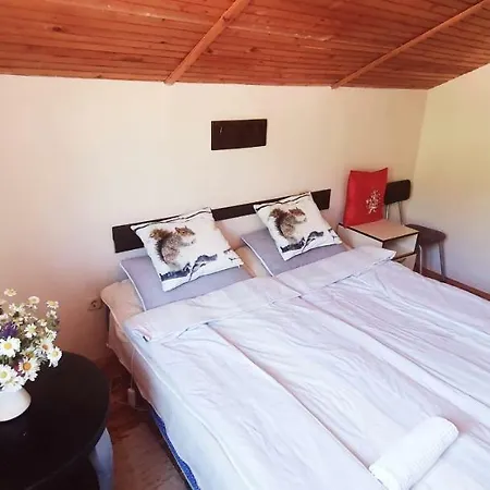 Guest house Villa Vrben Vrben